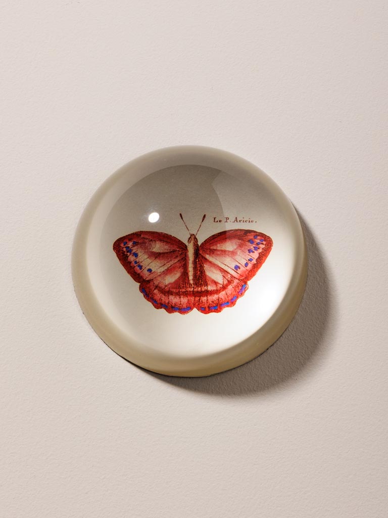 Paperweight red Butterfly - 1