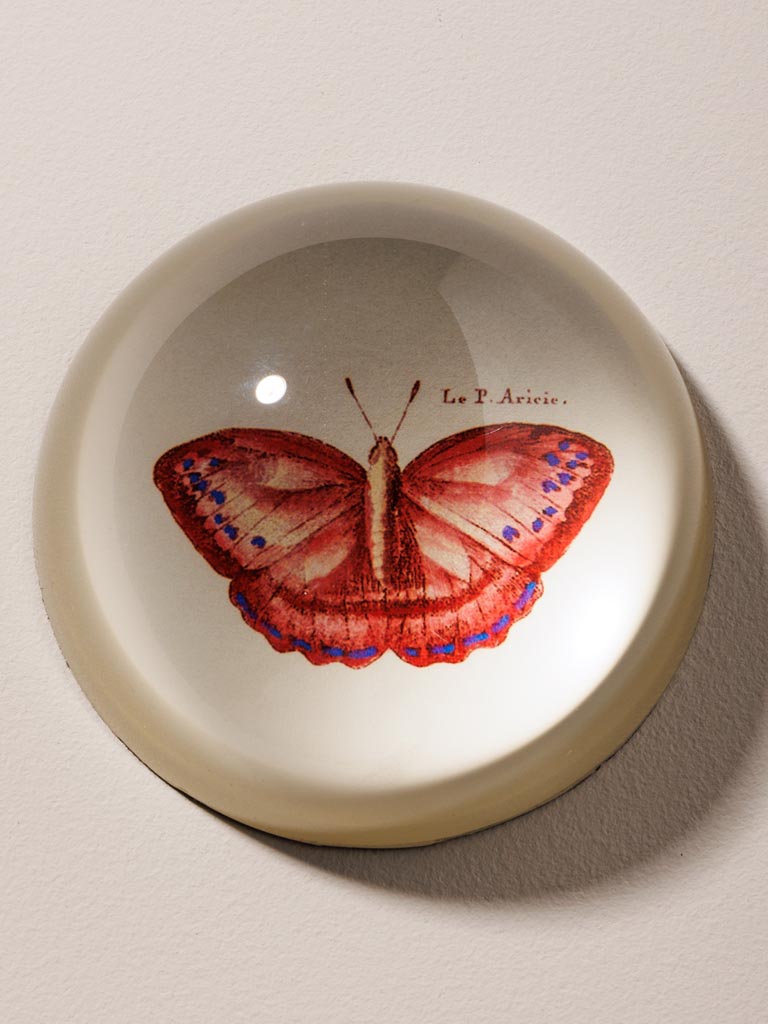Paperweight red Butterfly - 3