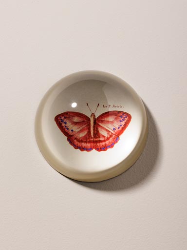 Paperweight red Butterfly