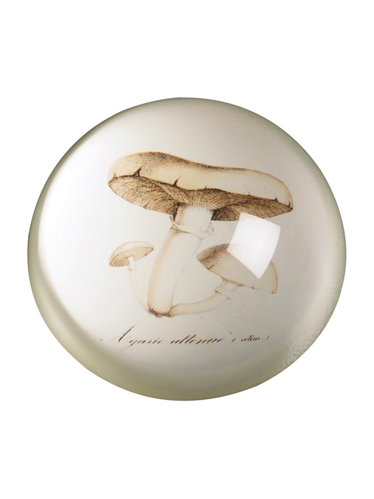 Paperweight Mushroom - 2