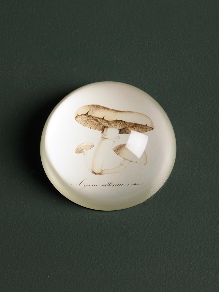 Paperweight Mushroom - 1