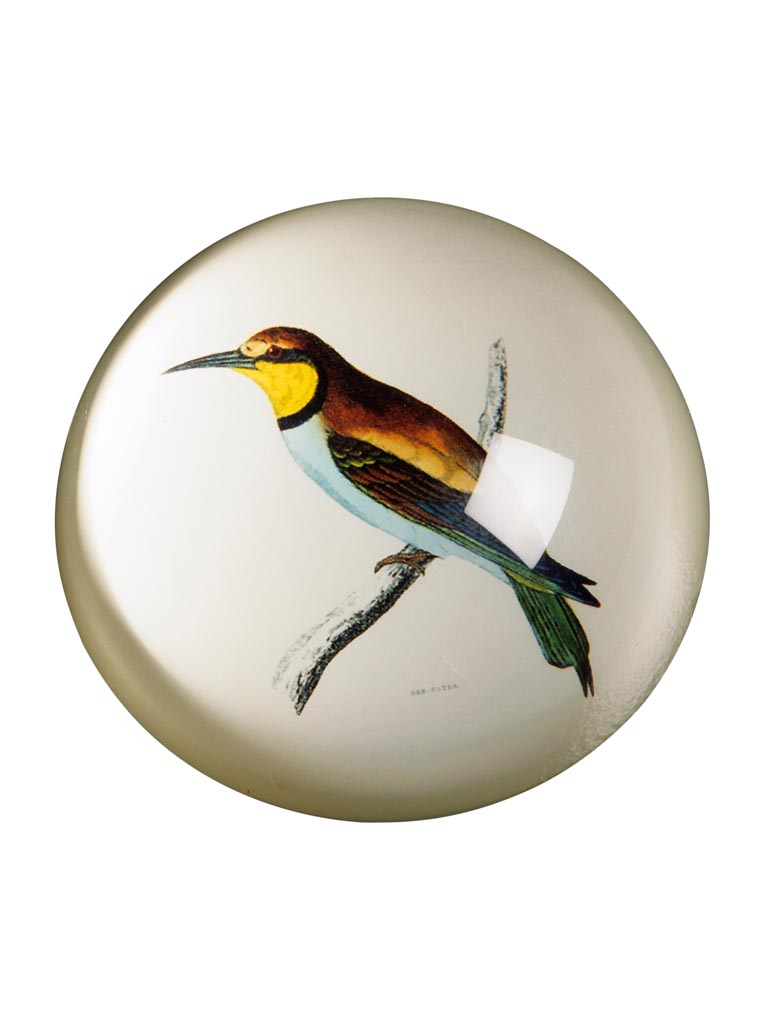 Paperweight Trinidad - 2