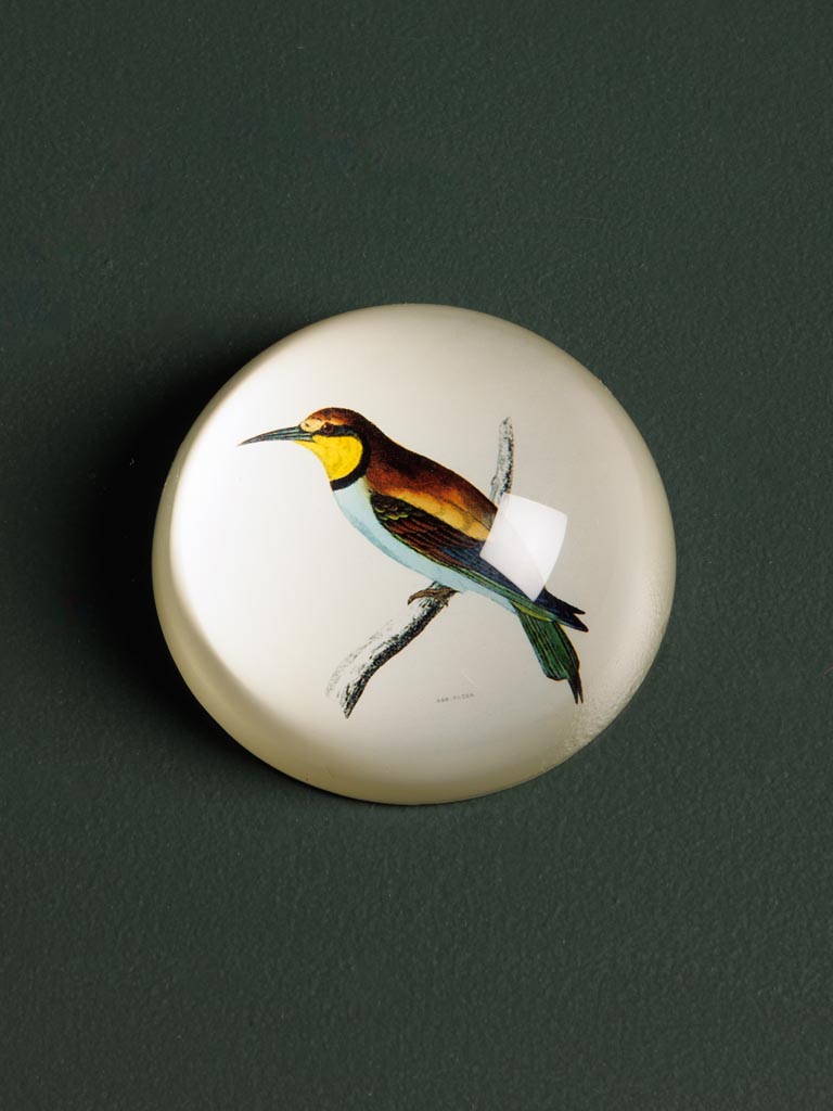 Paperweight Trinidad - 1