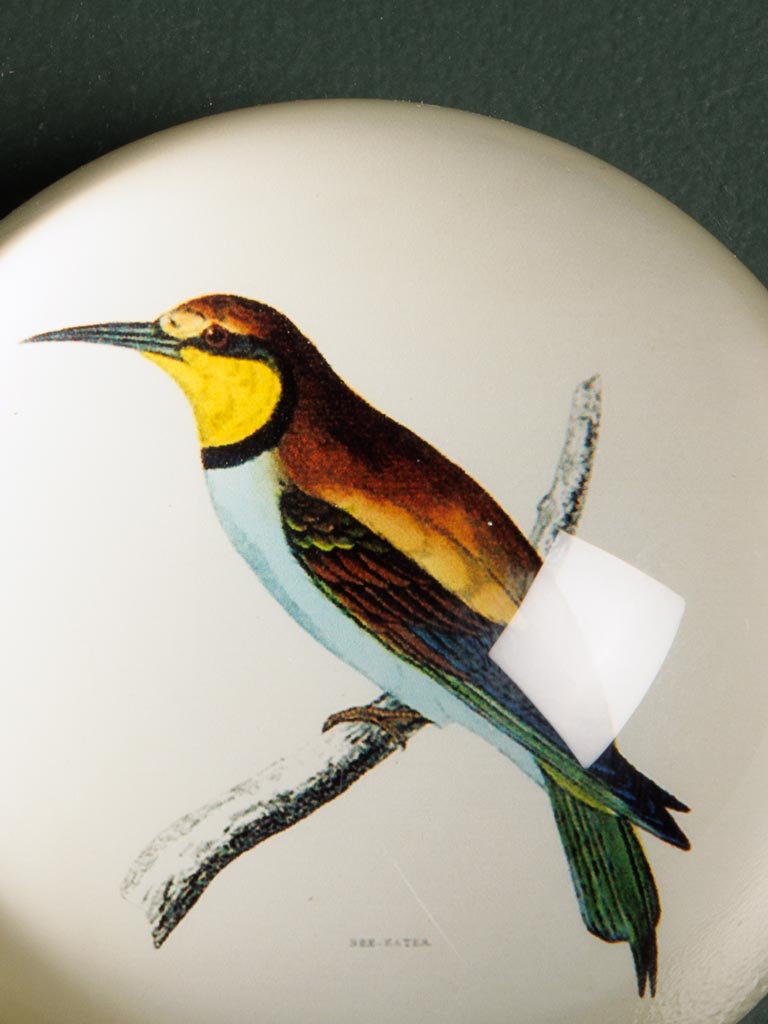 Paperweight Trinidad - 3