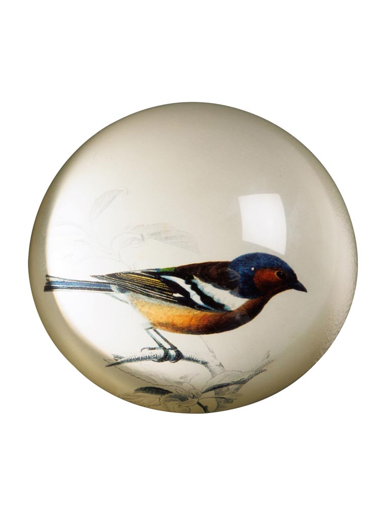 Paperweight Birdy - 2
