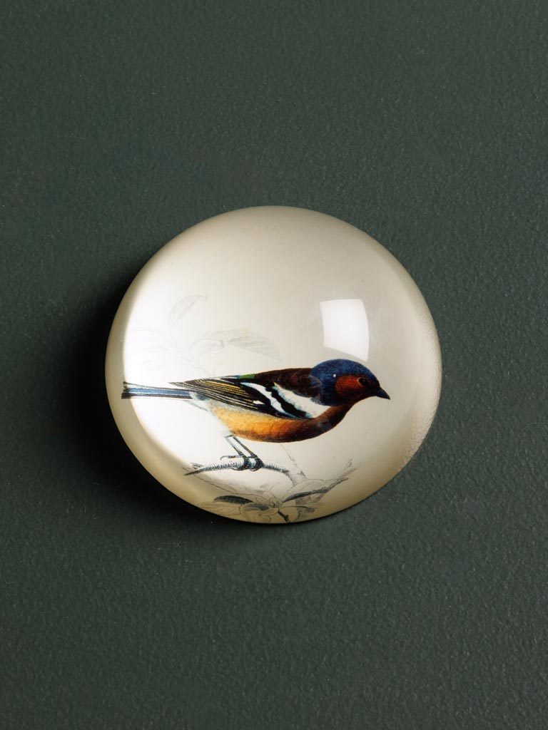 Paperweight Birdy - 1