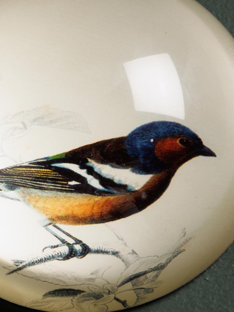 Paperweight Birdy - 3