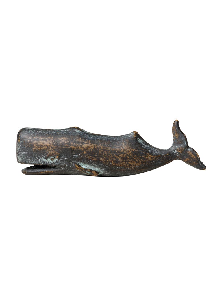 Knob whale - 2