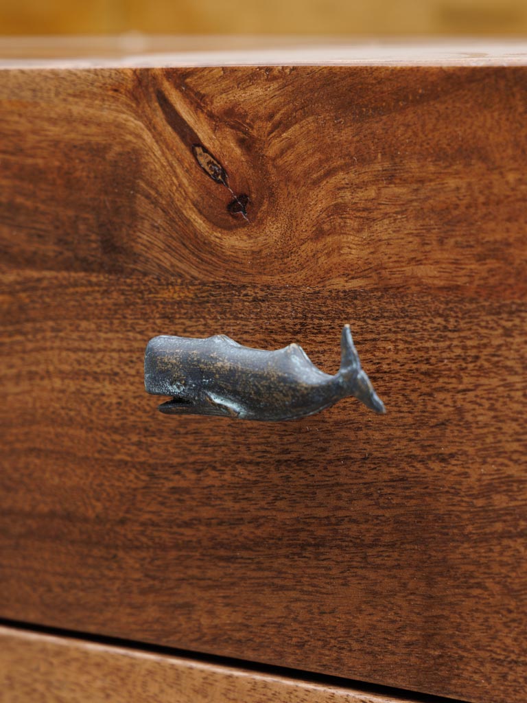 Knob whale - 5
