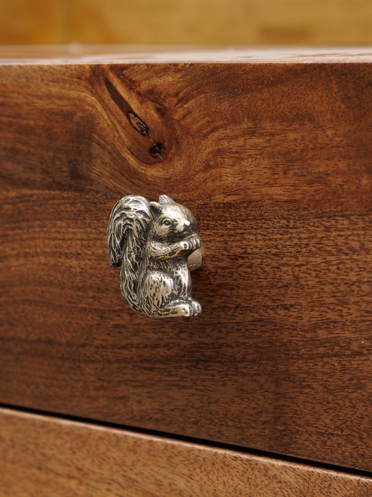Golden knob squirrel - 5