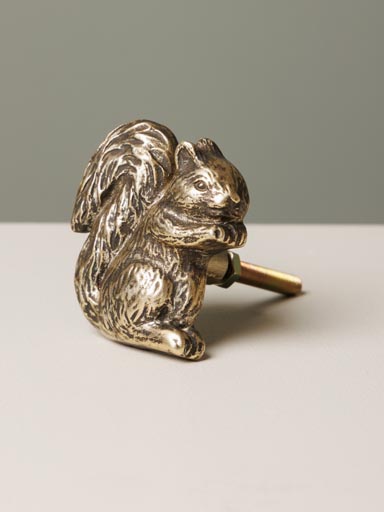 Bouton de porte Ecureuil