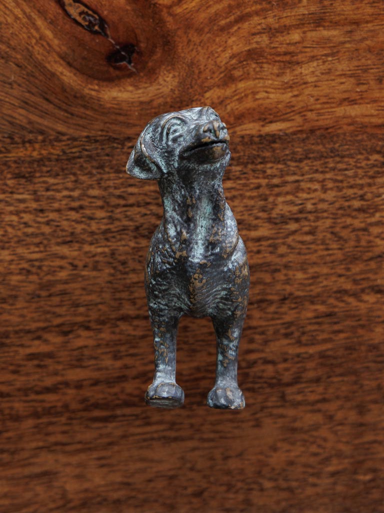 Knob dog - 3