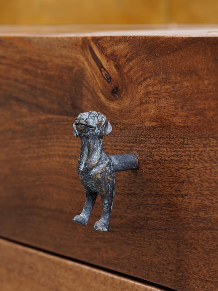 Knob dog - 4