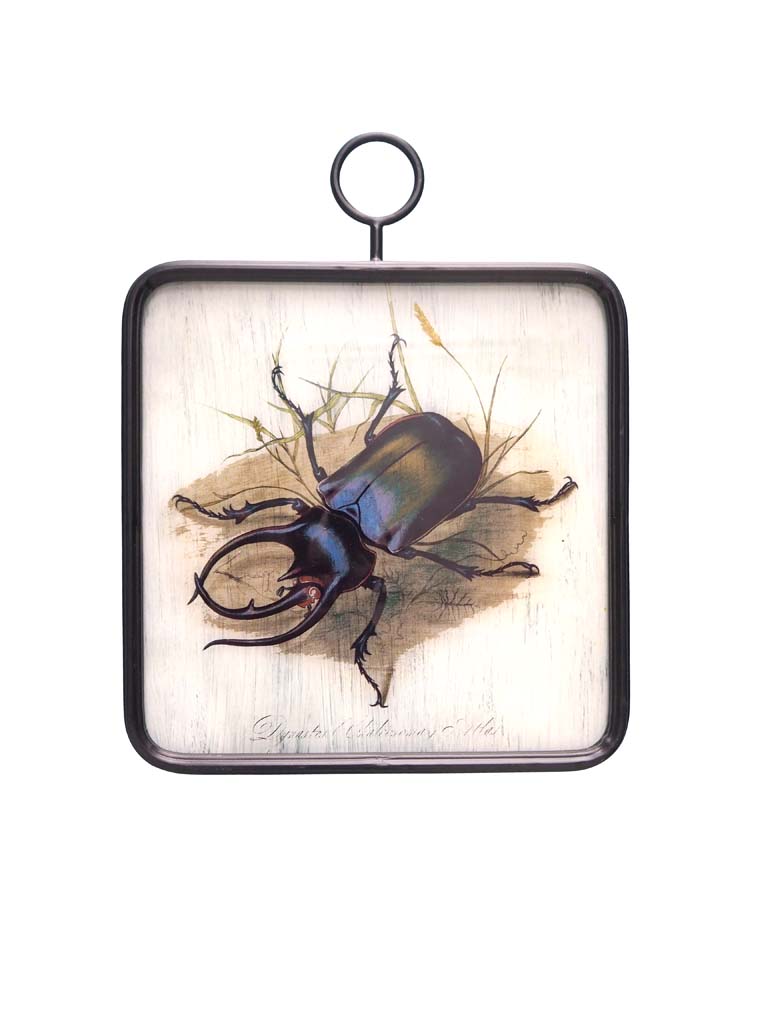 Glass frame Insect with ring - 2
