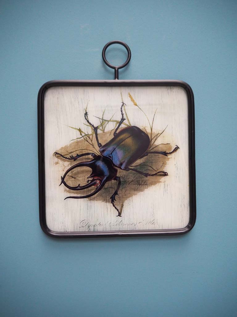 Glass frame Insect with ring - 1