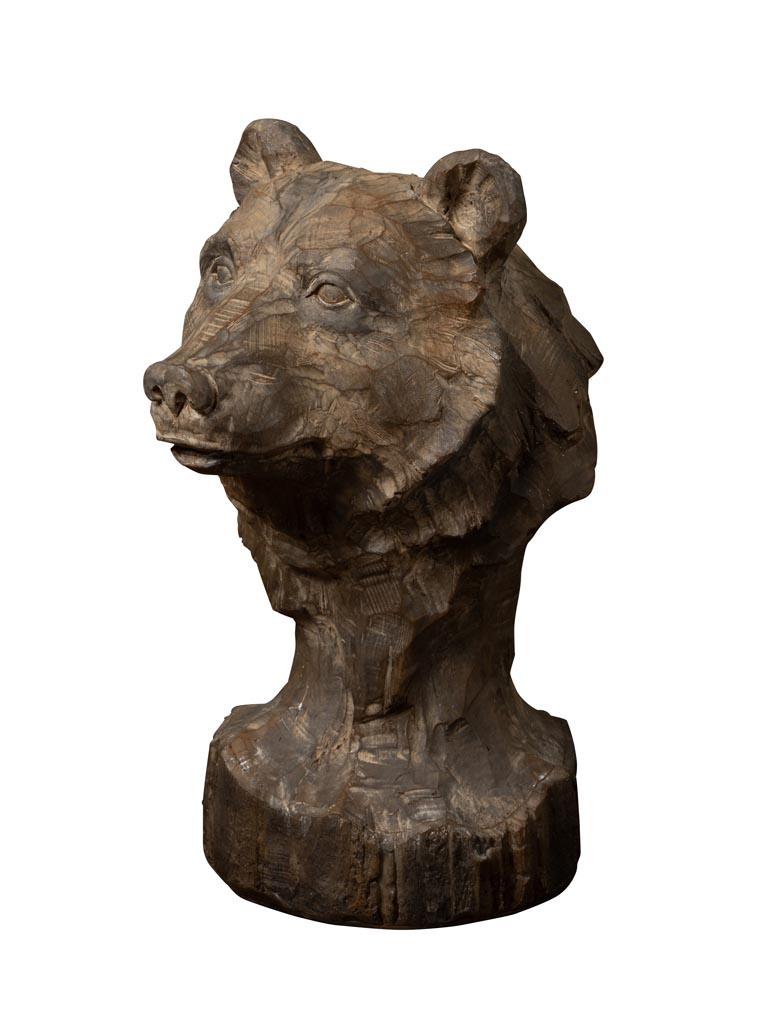 Brown bear head - 3