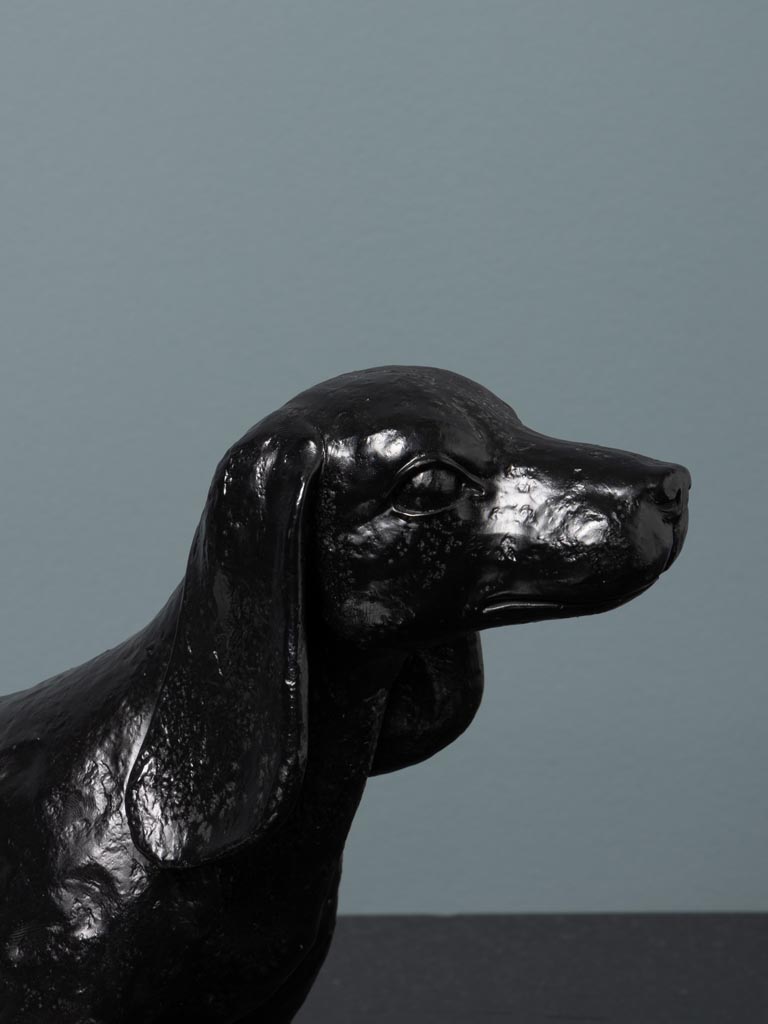 Sausage dog shiny black patina - 4