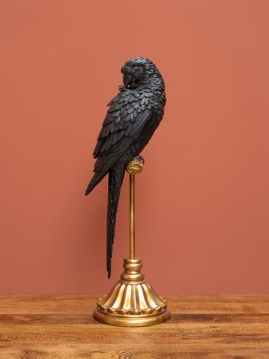 Black parrot on golden perch