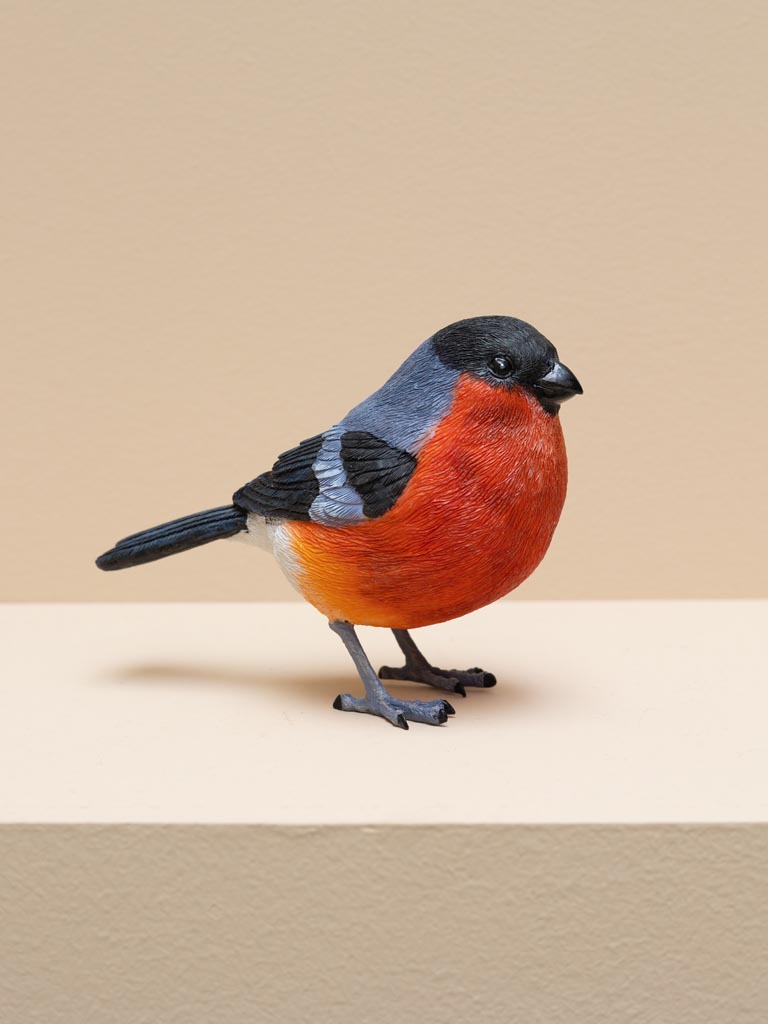 Bullfinch in resin - 1