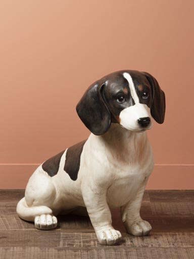 Black and white sitting dog