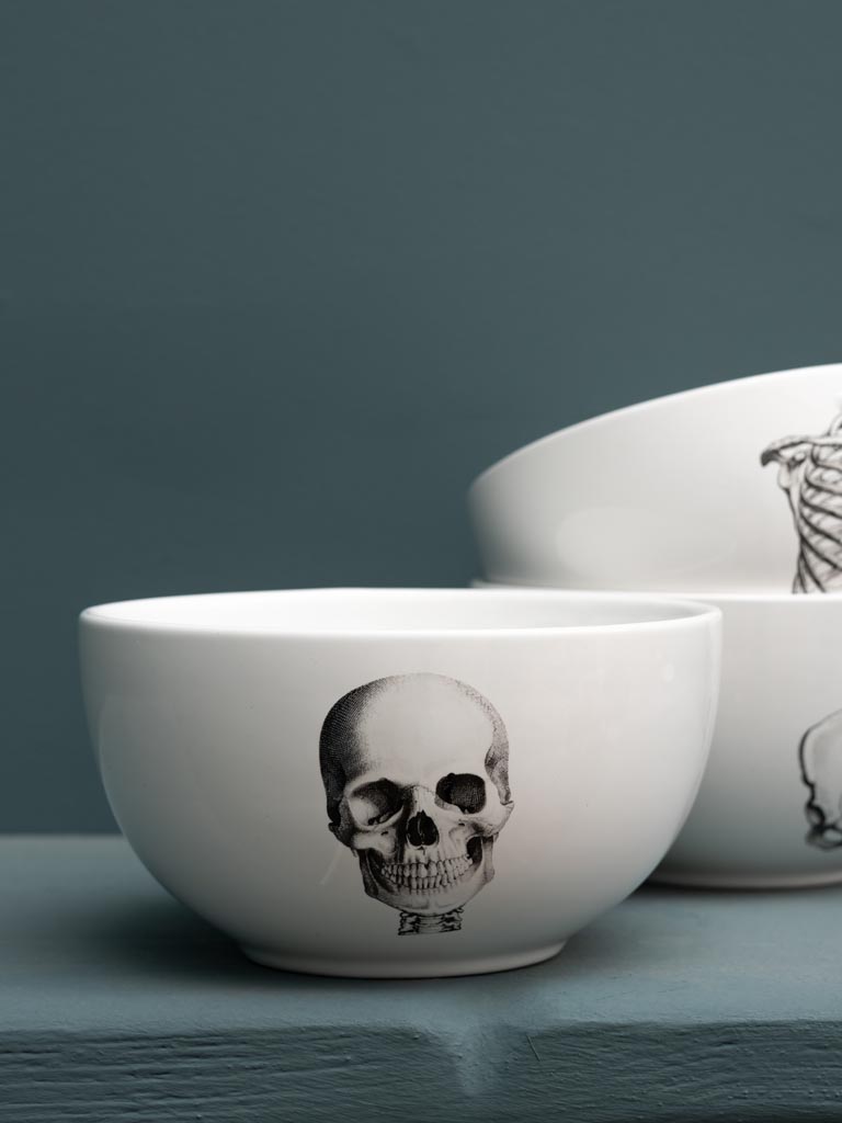 S/3 bowls Natural Sciences - 3