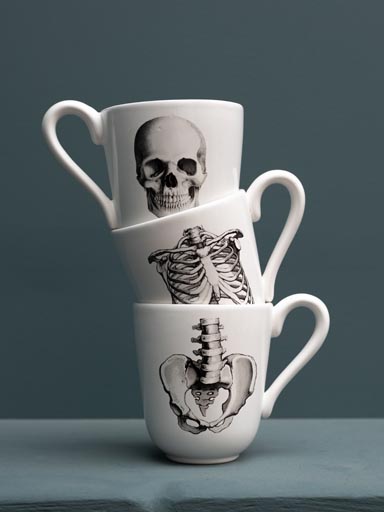 S/3 mugs "Sciences Nat' ".