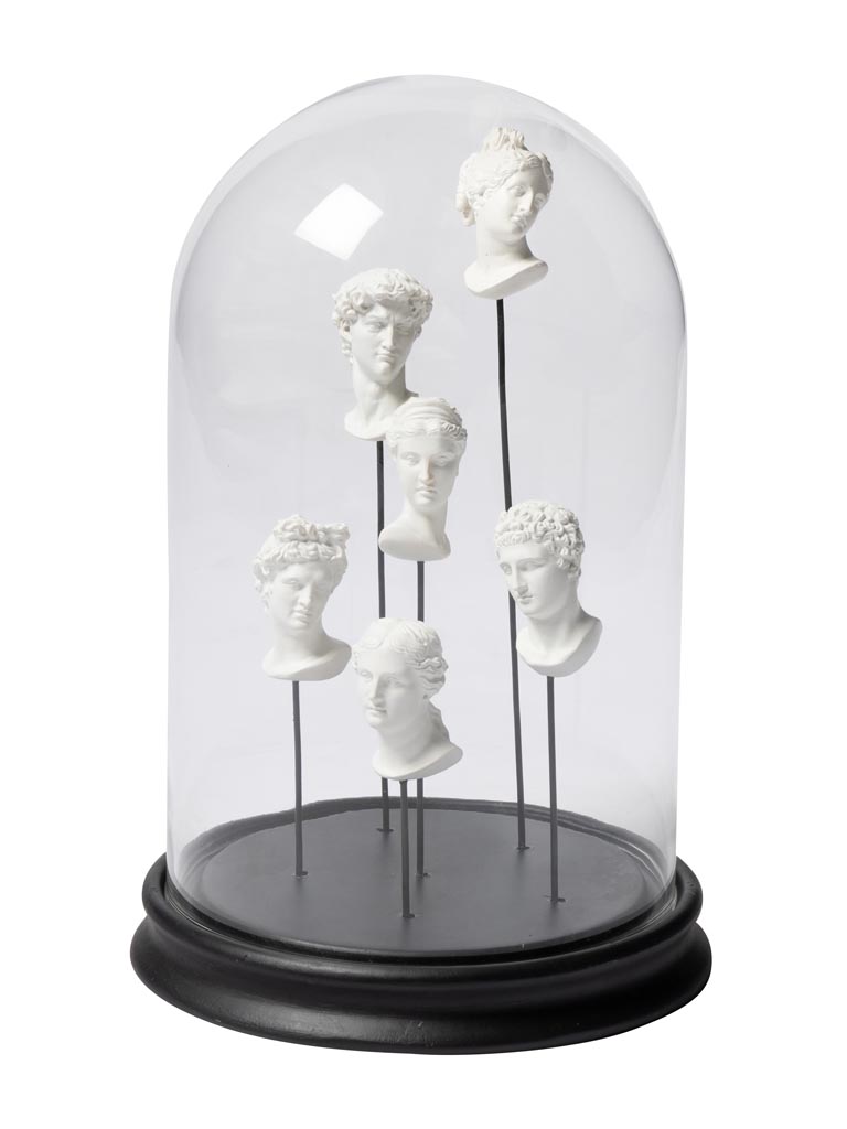 Glass dome Museum 6 busts - 2