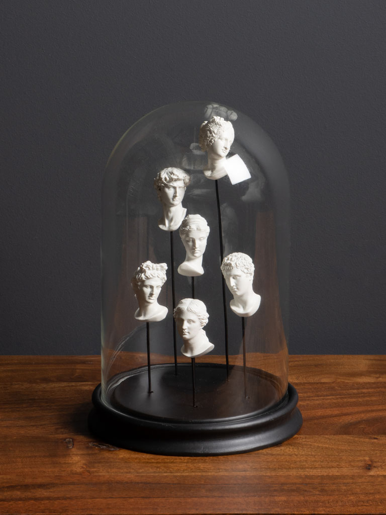 Glass dome Museum 6 busts - 1