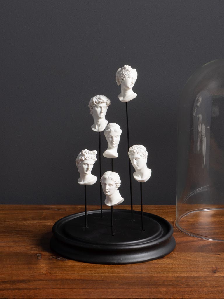 Glass dome Museum 6 busts - 3
