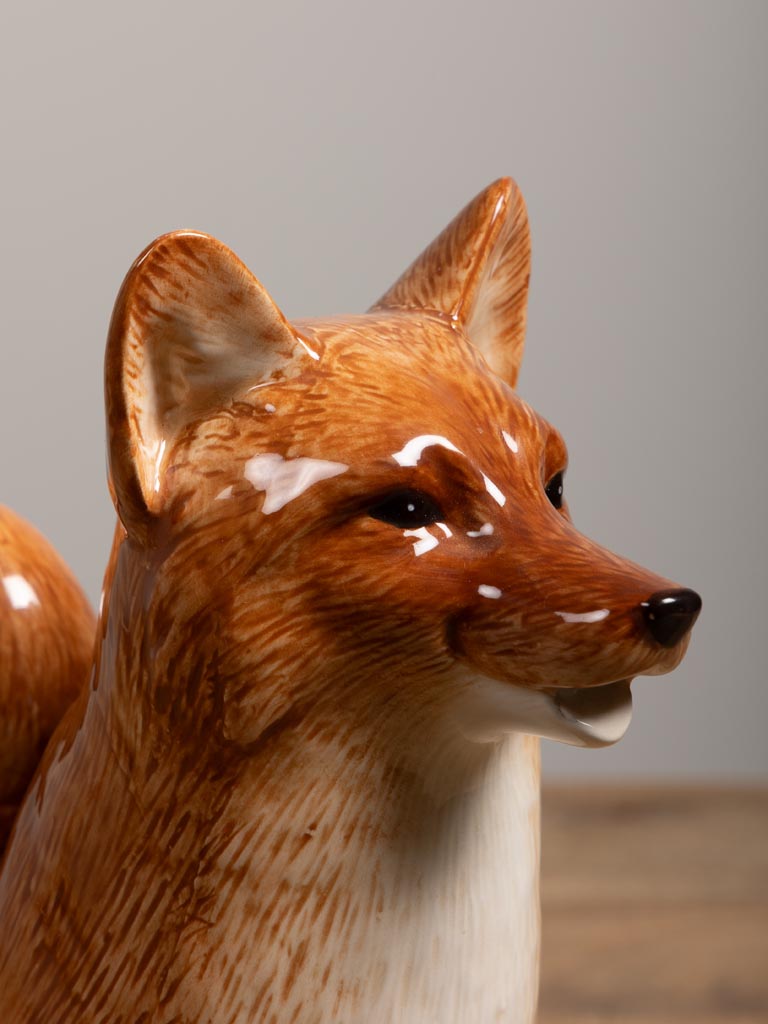 Fox pitcher - 8