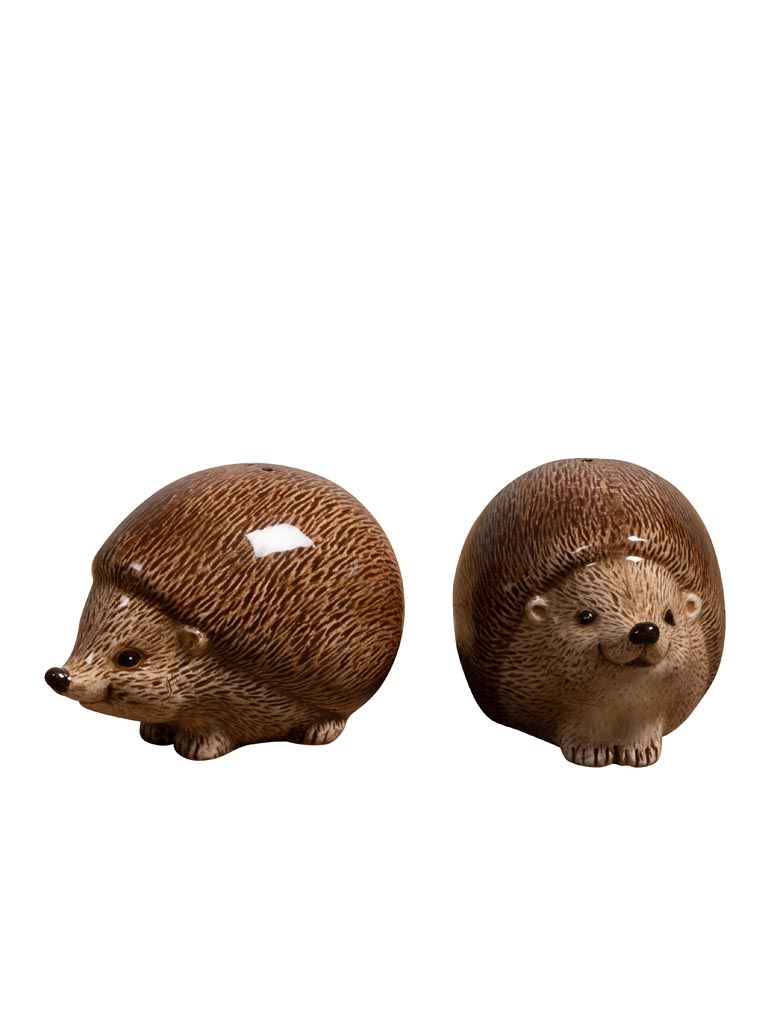 S/2 salt & pepper hedgehog - 2