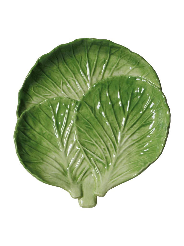 Small plate lettuce - 2