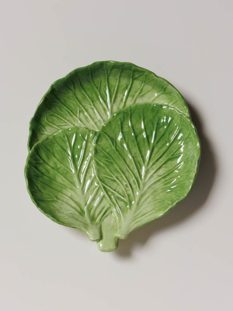 Small plate lettuce - 1