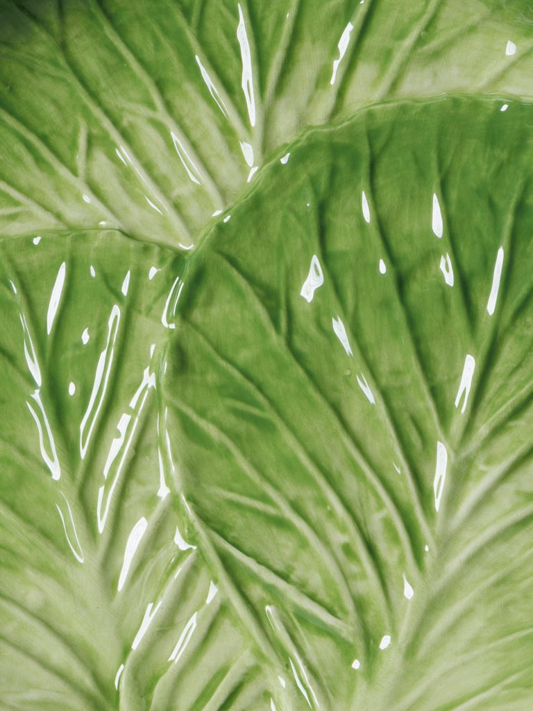 Small plate lettuce - 3
