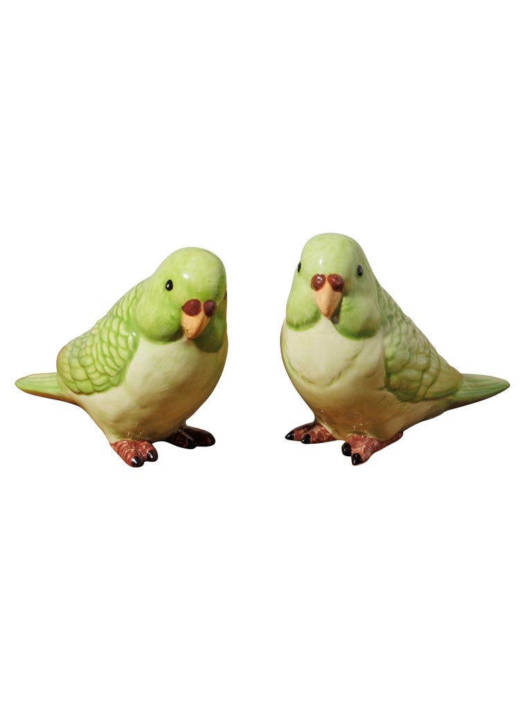 S/2 green parrots - 2
