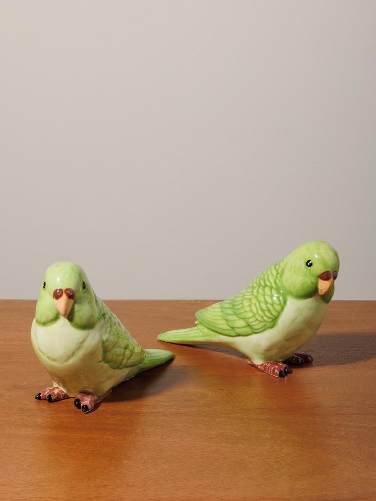 S/2 green parrots - 3