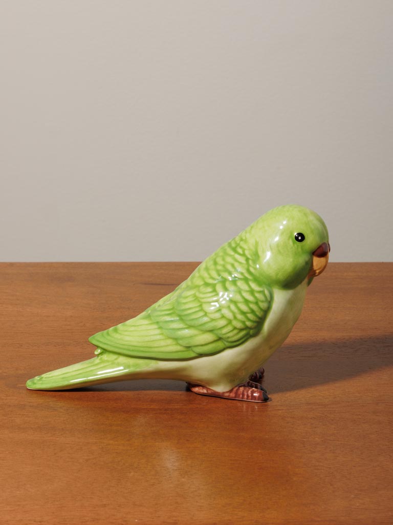 S/2 green parrots - 5