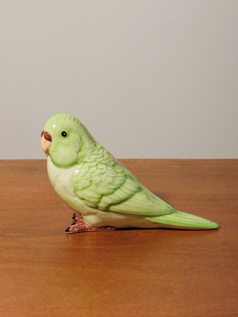 S/2 green parrots - 4