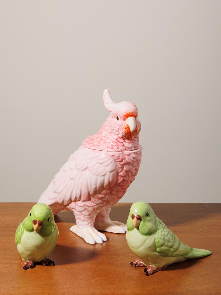 S/2 green parrots - 6