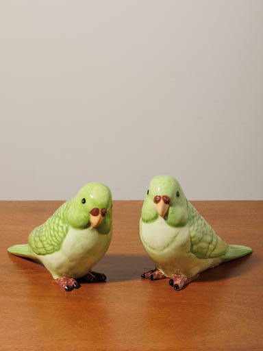 S/2 green parrots