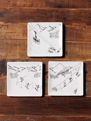 S/3 square plates BD Ski trip