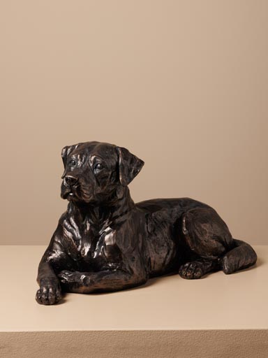 Labrador