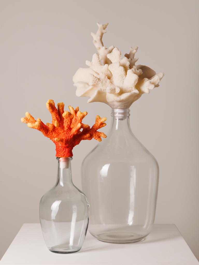 Bottle with orange coral - 4