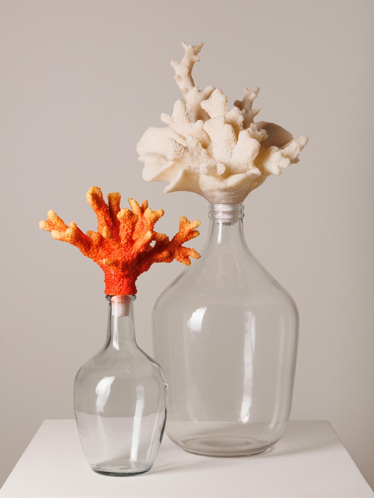 Bottle with white coral - 4