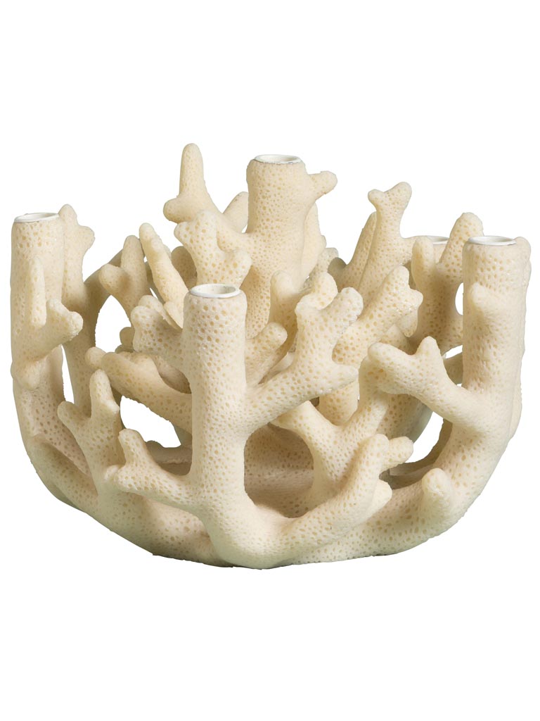 Candelabrum Coral - 2