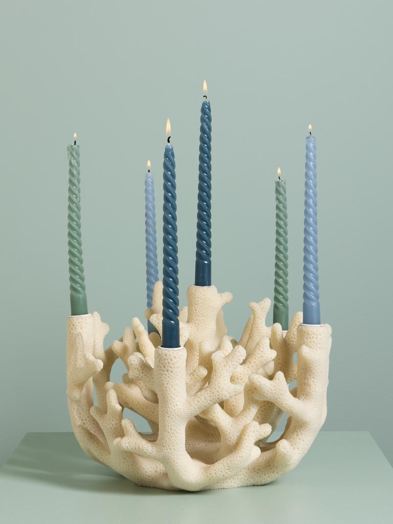 Candelabrum Coral - 1