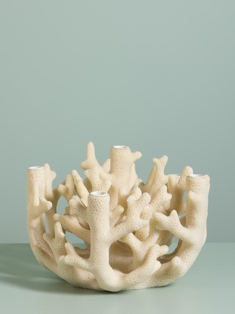 Candelabrum Coral - 3