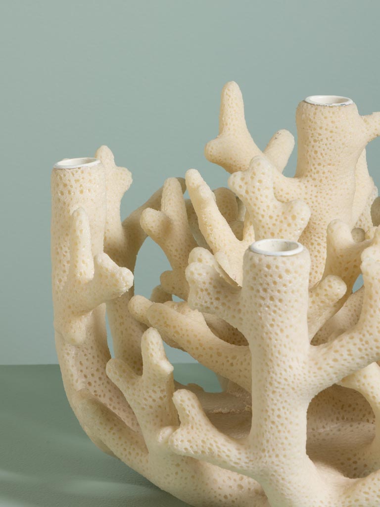 Candelabrum Coral - 4