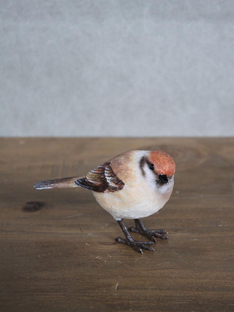 Resin bird w/metal feets. - 1