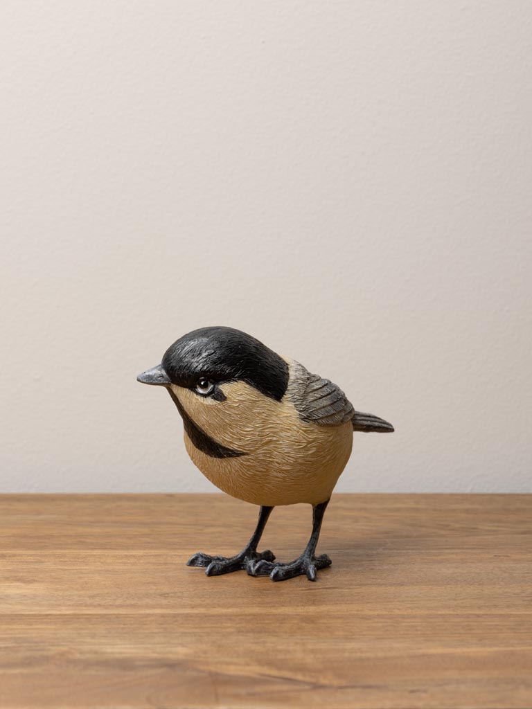 Coal tit in resin - 5